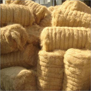 Coir Fibre