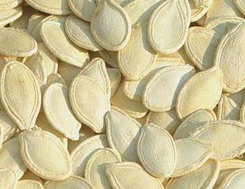Seeds, Nuts & Kernels