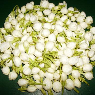 Fresh Indian Jasmine Flower