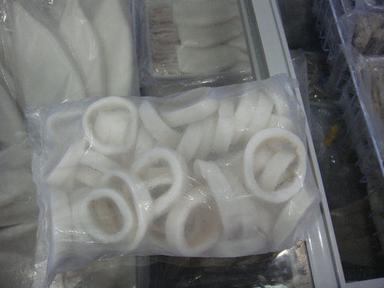 Frozen Squid