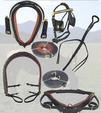Single Driving Horse Harness