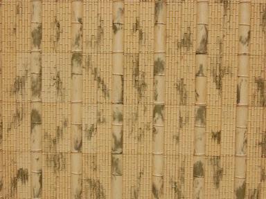 Bamboo Wall Tiles