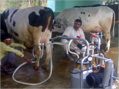 Stainless Steel Milk Dairy Products Machinery