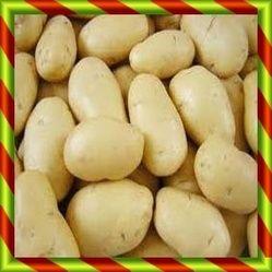 Fresh Potatoes