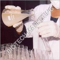 Quality Checked Veterinary Herbal Formulation