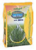 Hybrid Mustard Shraddha Mrr8012 Seeds