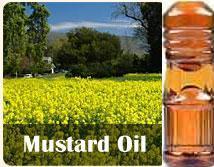Mustard Oil Purity: 100%