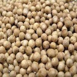 White Pepper