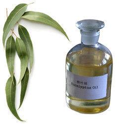 Eucalyptus Oil