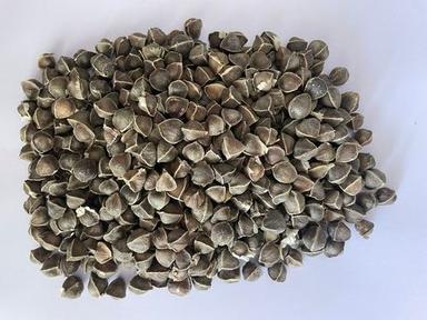Automatic 100% Organic No Impurity Whole Dried Moringa Oleifera Seeds