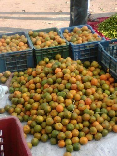 Naturally Grown Fresh Oranges