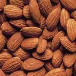 Cashew Nuts Cold Storage Rental Service