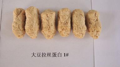 Yellowish Textured Soy Protein Concentrate