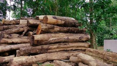 Vengawood Logs
