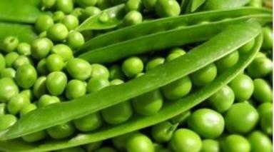 Frozen Fresh Green Peas