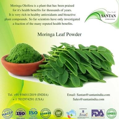 As You Moringa Oleifera Leaf Powder For Dietary Supplements Energy Drink And Food Industry