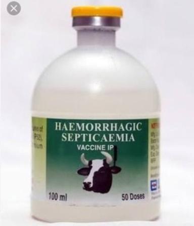 Hemorrhagic Septicemia (Hs) Vaccines Recommended For: Cattle