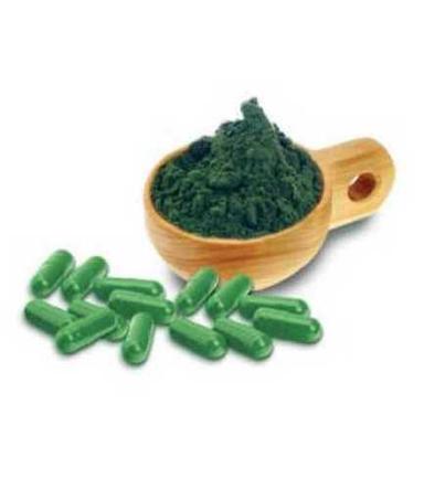 Best Quality Spirulina Powder