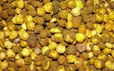 Free From Impurities Low Fat Good In Taste Easy To Digest Roasted Chana
