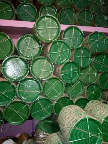 Green Round Disposable Paper Plate