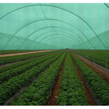 Green Agro Shade Net Hole Shape: Customized