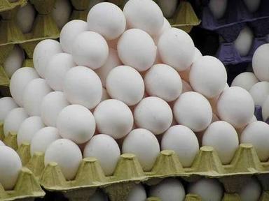 White Fresh Poultry Egg Egg Origin: Chicken