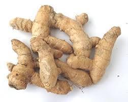 White Turmeric - Wild