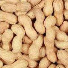 Pure Organic Peanuts
