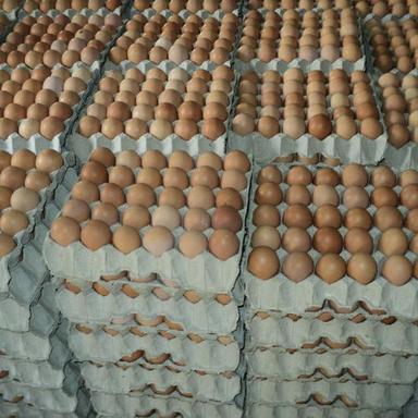 Fresh Chicken Table Eggs Brown and White Shell Chicken