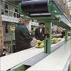 Belt Conveying Food Products