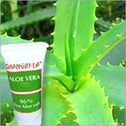 Aloe Vera Extracts