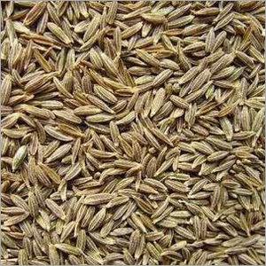 Cumin Seed Oil