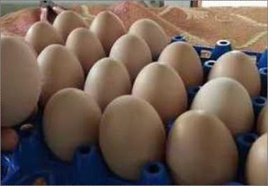 Hygienic Pure Brown Eggs  Egg Origin: Chicken