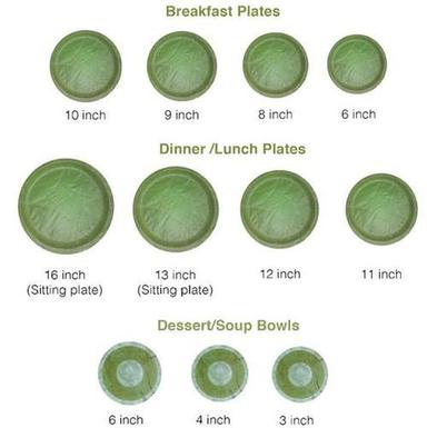 Green Sal Leaf Serving Plates