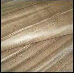 Tussar Silk Fabric 