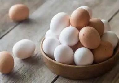 High Protein Poultry Eggs Egg Origin: Chicken