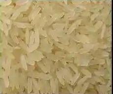 Short Grain Ir 64 Yellow Rice Broken (%): 5%