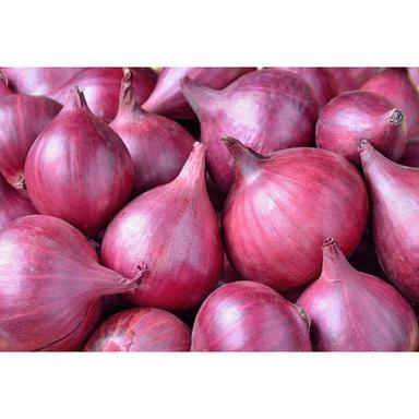 100% Fresh Red Onion Preserving Compound: Natural
