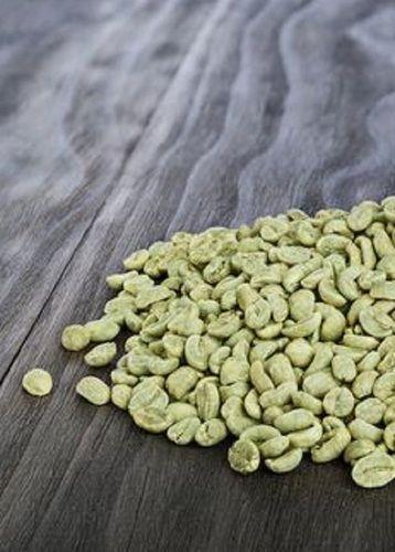 Common Premium Quality Arabica Green Beans Coffee