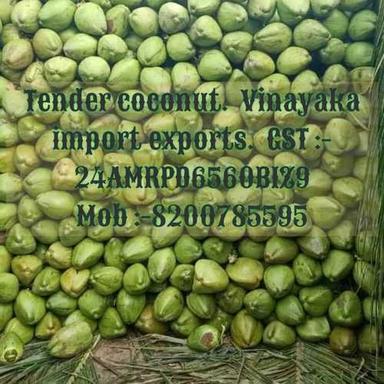 Green Organic Fresh Tender Coconut