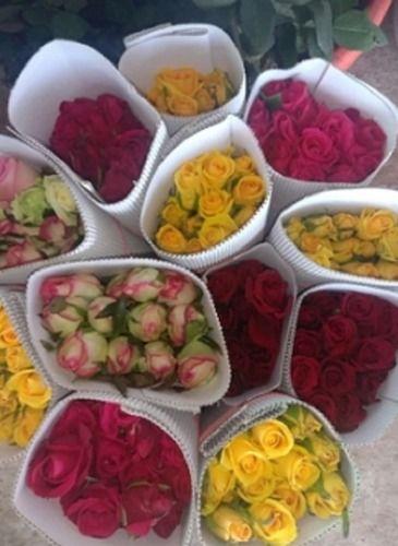 All Fresh Multi Color Cut Flowers