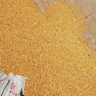 Yellow Corn For Human Consumption Crop Year: 2019 Years