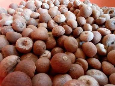 Common 100% Pure Natural Areca Nut