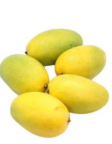 Pure Organic Green Mango Origin: Odisha