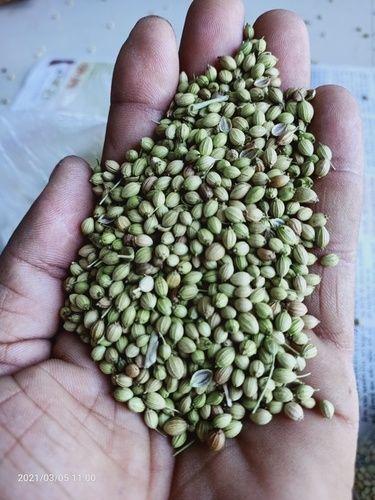 100% Unadulterated Coriander Seed Application: Pool
