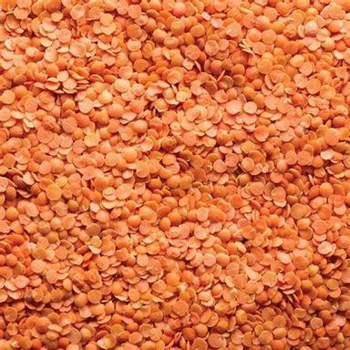 Desi Organic Dried Lal Red Lentil Split Masoor Dal Origin: India