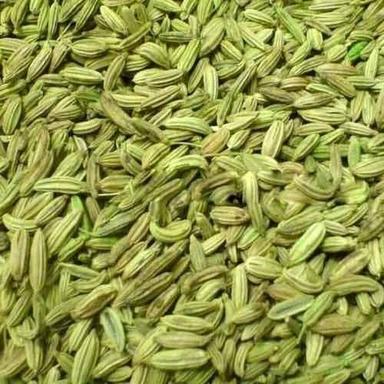 Green Premium Quality With Natural Fragrance Sorted And Sun Dried Indian Sweet Long Size Fennel Seeds