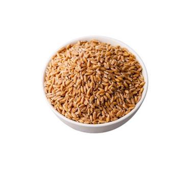 B Grade Milling Wheat Grain
