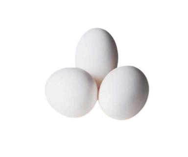 Human Consumption White Eggs, High In Protein Egg Origin: Chicken