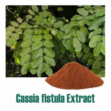 Herbal Product Cassia Fistula Extract Dry Powder